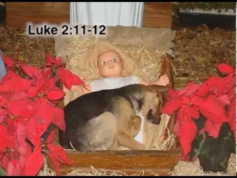 Luke 2:11-12