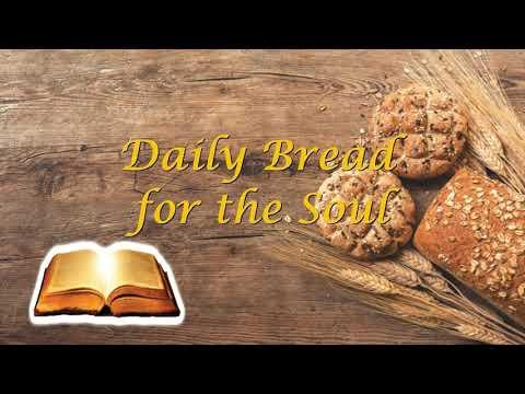 Daily Bread for the Soul 33rd week in ordinary time, 19-11-2020, Luke 19:41-44