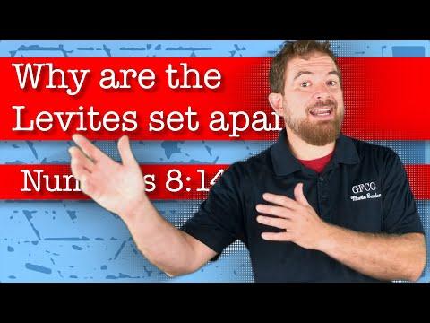 Why are the Levites set apart? - Numbers 8:14-19