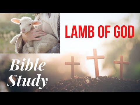 Who Is The Lamb Of God | Gospel Of John 1:29-34 |Bible Study With Me