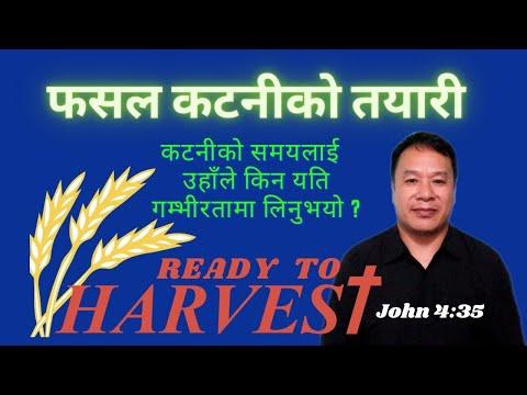फसल कटनीको तयारी ready to harvest (John 4:31-36) अगमवाणीय समयको शुरूवात.. Church are you ready?