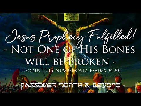 Daily Scripture - John 19:33‭-‬37 - Jesus Prophecy Fulfilled - Not One of His Bones will be Broken