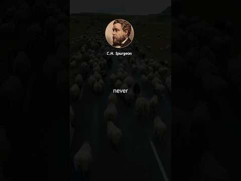 Can Wandering Sheep be Redeemed? #sermon