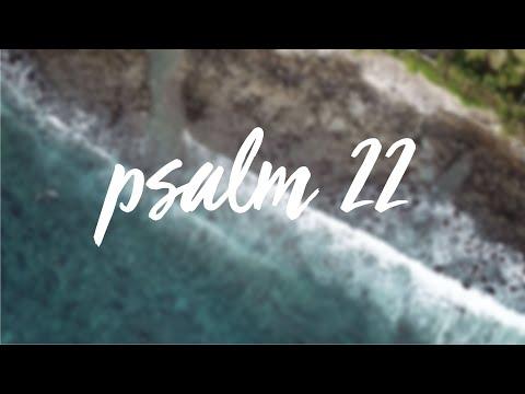 Psalm 22 (Official Lyric Video) - Singing Our Stories
