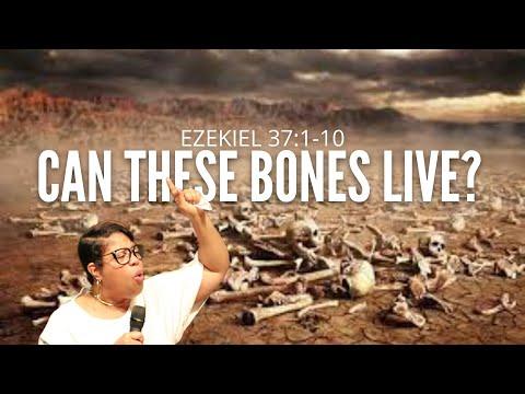 Can These Bones Live? | Min. Middlebrooks | Ezekiel 37:1-10