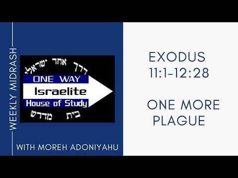 One More Plague - Exodus 11:1-12:28