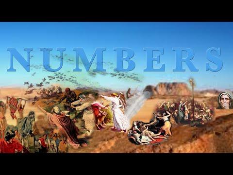 Numbers 23:13-24:11 - Grace To the Humble - Daryl Kyle