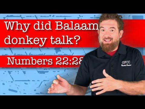 Why did Balaam’s donkey talk? - Numbers 22:28-33
