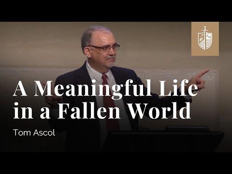 A Meaningful Life In A Fallen World - Ecclesiastes 1:12-2:26 | Tom Ascol