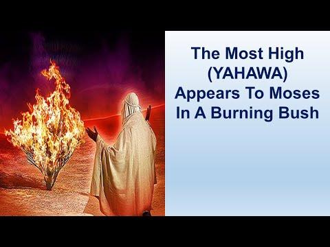 The Most High Appears To Moses In A Burning Bush - Exodus 3:1-22