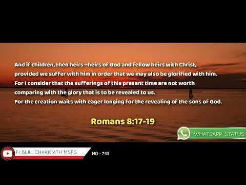 Romans 8:17-19 | Daily Word_25/05/2022 | Whatsapp Status
