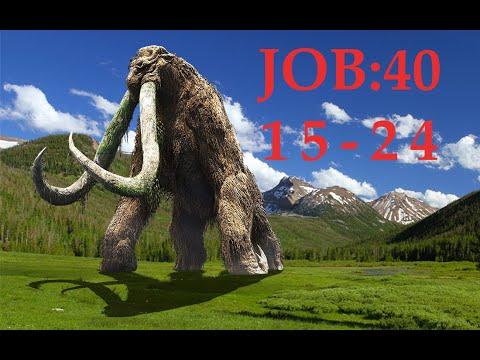 Job 40:15-24 (G:ROTT Sneak-Peak)