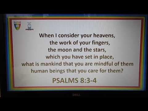 PSALM 8:3-4