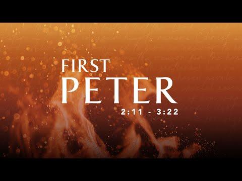 6:30 PM Wednesday Bible Study | 1 Peter 2:11-3:22 "Submission and Suffering"