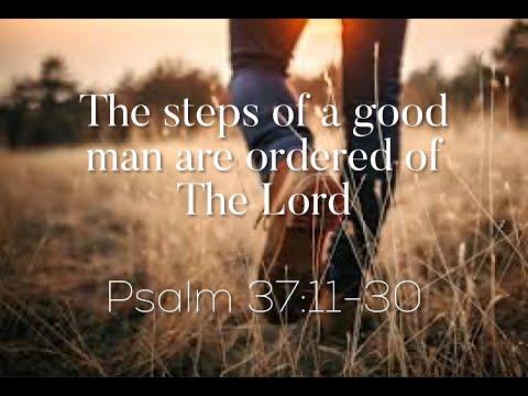 Psalms - through the eyes of The Living Letters ~ Psalm 37:10-30