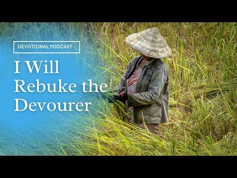 Your Daily Devotional | I Will Rebuke the Devourer | Malachi 3:11