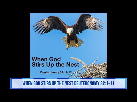 When God Stirs up the Nest Deuteronomy 32:1-11 Pastor Sicairos Sunday Worship August 08, 2021  10 AM