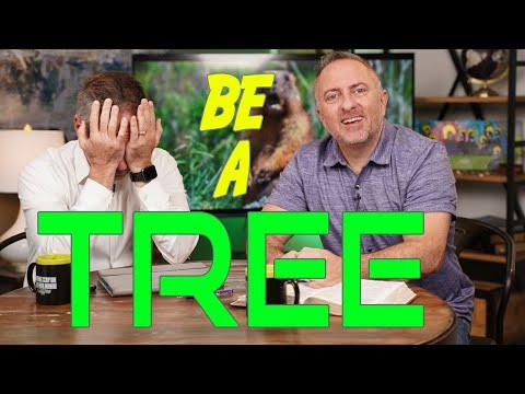 WakeUp Daily Devotional | Be a Tree  |  [Hebrews 6:11-12]