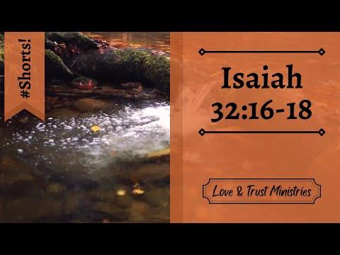 Undisturbed Rest and Peace in the Lord! | Isaiah 32:16-18 | November 3rd | Rise and Shine Shorts