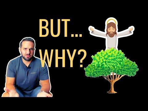 Why Did Jesus Curse the Fig Tree? || Mark 11:12-14; 20-25 || 2BeLikeChrist