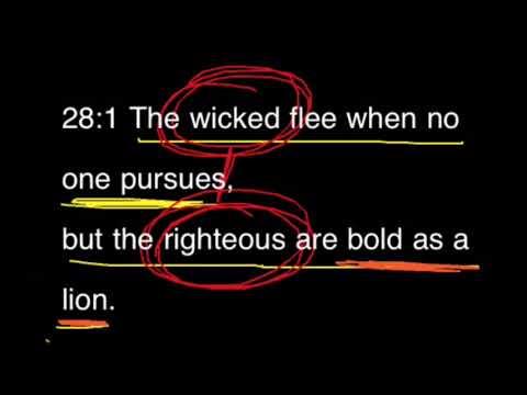 Proverbs 28:1--The Righteous are Bold as a Lion