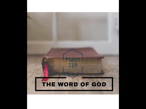 Psalm 119:77 A Word-Shaped Life (Part 3)