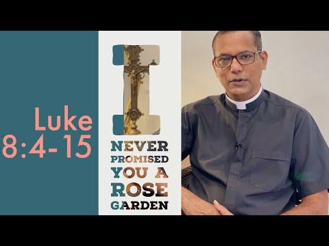 I never promised you a rose garden! | Luke 8:4-15