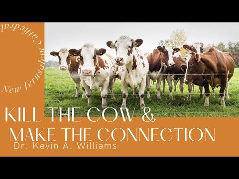 Kill the Cow and Make the Connection 1 Kings 19:15-21 | Dr. Kevin A. Williams
