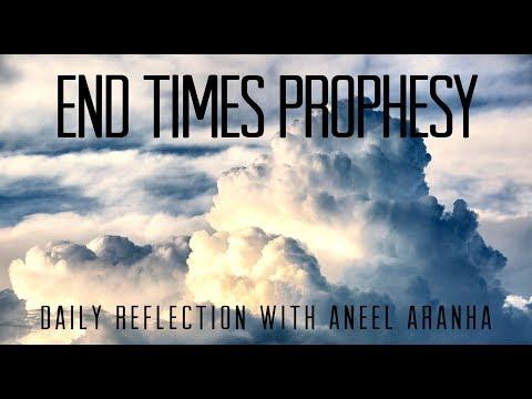 Daily Reflection with Aneel Aranha | November 29 | Luke 21:20-28