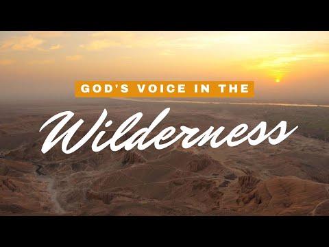 Shiloh's Study Hour - 6/22/22 - God's Voice in the Wilderness - Numbers 1:1