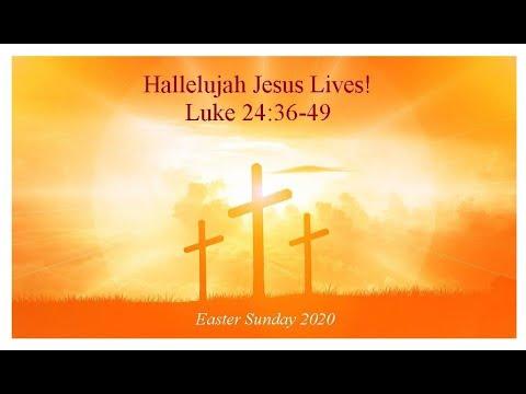 Hallelujah Jesus Lives!  Luke 24:36-49  4/12/2020