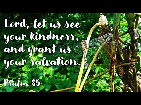 PSALMS 85:9, 10, 11-12, 13-14 | LORD, LET US SEE YOUR KINDNESS, AND GRANT US YOUR SALVATION.