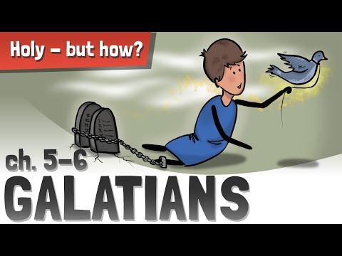 Galatians 5-6 | You are free! Now live it! #Bible #Galatians
