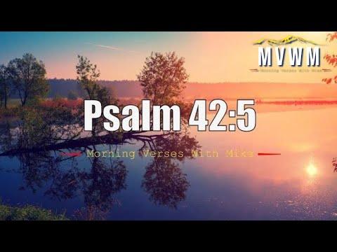 Psalm 42:5 | Morning Verses With Mike