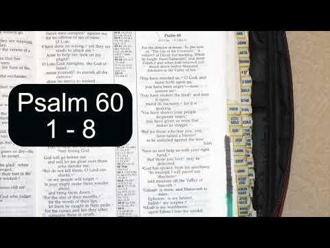 Holy Bible - Psalm 60 : 1 - 12