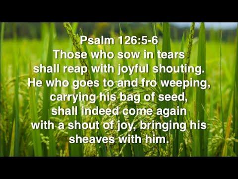 Psalm 126:5-6 (Promise)
