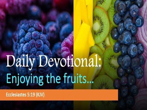 Daily Devotional | Enjoy the fruits of your labor | Ecclesiastes 5:19