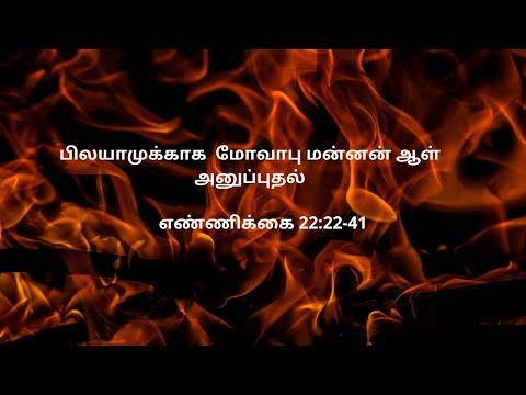 எண்ணிக்கை 22:22-41 | Daily Bible RC | Numbers 22:22-41