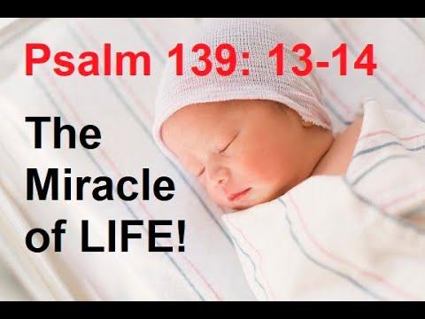 Psalm 139: 13-14 | You Knit Me Together In My Mother's Womb | Motivation & Inspirational