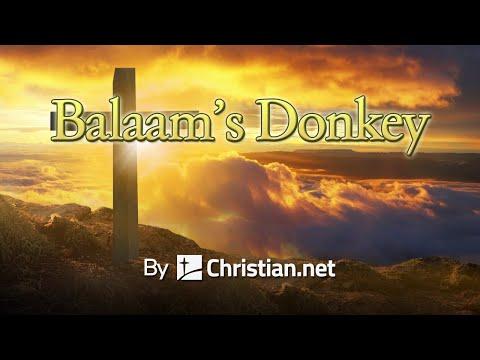 Numbers 22:21- 41: Balaam’s Donkey | Bible Stories