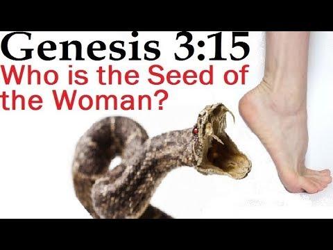 GENESIS 3:15 - WHO IS THE SEED OF THE WOMAN?