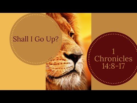 1 Chronicles 14:8-17, Shall I Go Up?