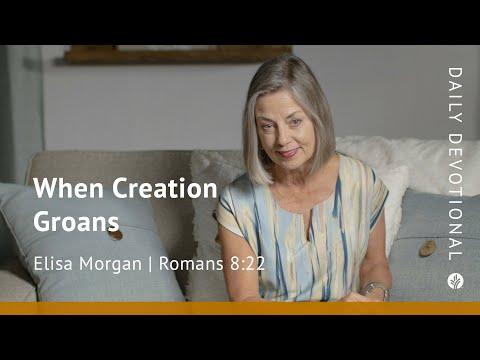 When Creation Groans | Romans 8:22 | Our Daily Bread Video Devotional