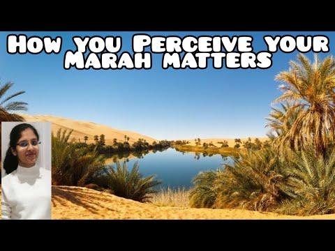 How you perceive your Marah matters | Exodus 15:22-27 | Bible Study