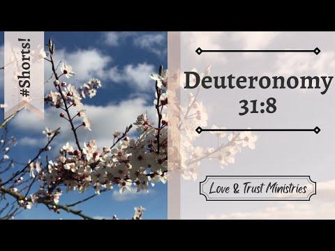 God Will Never Leave You! | Deuteronomy 31:8 | May 16th | Rise and Shine Shorts