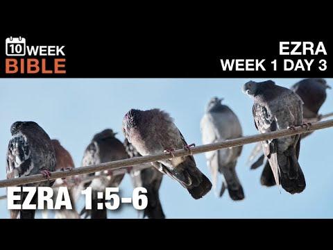 A Few Tribes Left | Ezra 1:5-6 | Week 1 Day 3 Study of Ezra