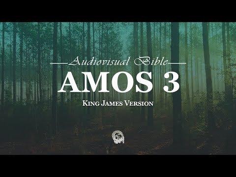 Amos 3:1-15 King James Version (KJV)