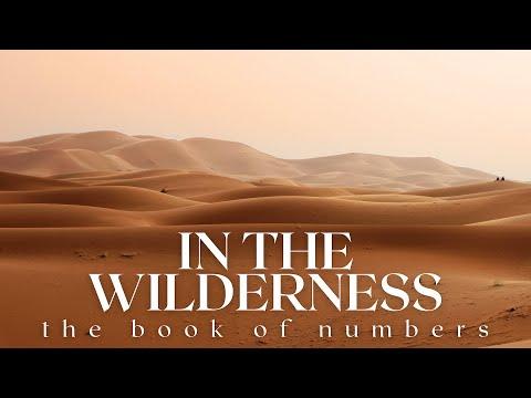 Numbers 10:33-11:15 • What We Need in the Wilderness