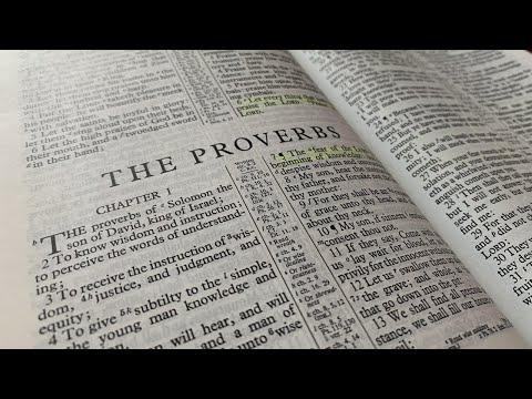 Proverbs 29:1-3, 12-20