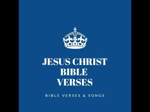 Bible _Verses Verse: Hebrews 13:16 May God Bless You ???????? #bibleverse  #jesuschrist #dailybibleverse